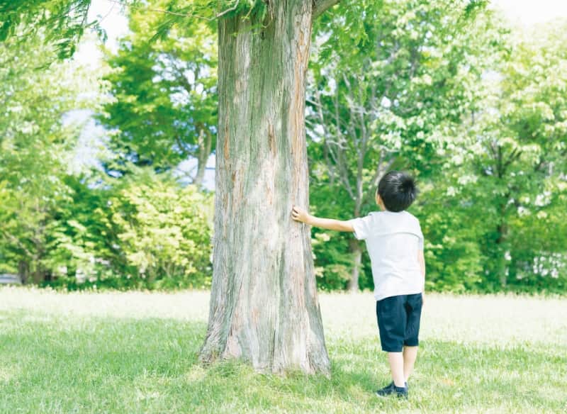 木と触れ合い五感を刺激する、「木育」という考え方。